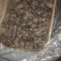 فروش خرما کلوته|عمدهفروشی|چاه مرید, |دیوار