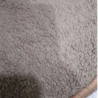 پالاز موکت نو