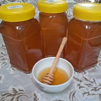 عسل گون آویشن + عسل ویژه وحشی+ ارسال رایگان|خوردنی و آشامیدنی|تهران, منیریه|دیوار