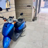 پاکشتی در حد