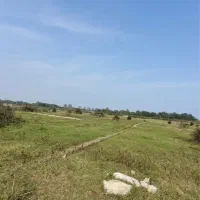 کلانشهر کیاشهر بر دوم دریا|فروش زمین و ملک کلنگی|کیاشهر, |دیوار