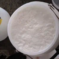 ماست گوسفندی
