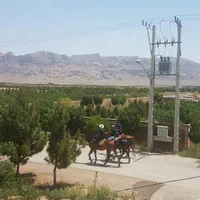 فروش ۲۵۵۰ متری در شهرضا|فروش دفتر صنعتی، کشاورزی، تجاری|شهرضا, |دیوار