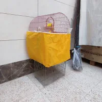 قفس کوتوله سر هلویی مولد