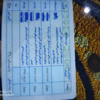 راننده پایه یک دارم