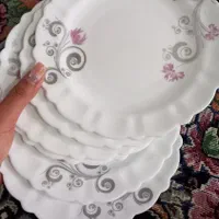 سرویس آرکوپال|ظروف سرو و پذیرایی|مشهد, چاهشک|دیوار