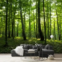 رنگ آمیزی ساختمان ونصب کاغذدیواری وپوسترسه بعدی|خدمات پیشه و مهارت|دهلران, |دیوار