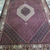 کناره و فرش شیش متری|فرش|بروجرد, |دیوار