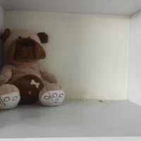 وسایل نو قیمت پایین|صندلی و نیمکت|قم, شاه ابراهیم|دیوار