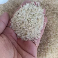 برنج کامفیروزی درجه یک بشرط