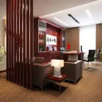 دستیار مدیر عامل