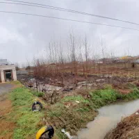 ۱۲۰۰ زمین بر جاده اصلی رشت به استارا|فروش زمین و ملک کلنگی|تولم شهر, |دیوار