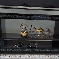 میز تی وی