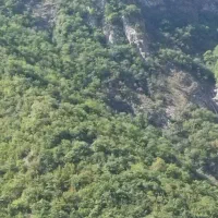 خانم مسلط به عکسبرداری