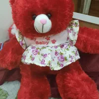 خرس ولنتاین نو