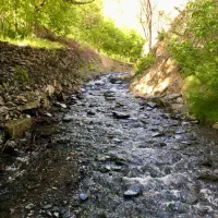 مسافر برای طبیعت گردی هر جای ایران