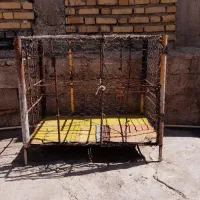لانه مرغ و خروس و پرنده