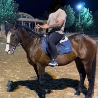 اسب نریان دوخون