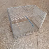 قفس پرنده در حدنو