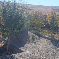 فروش باغ ویلایی در روستای زین اباد|فروش خانه و ویلا|صوفیان, |دیوار