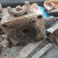 فوری|خدمات باغبانی و درختکاری|بیکاه, |دیوار