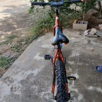 دوچرخه ۲۶ ویوا|دوچرخه، اسکیت، اسکوتر|گنبد کاووس, |دیوار