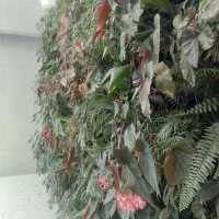 دیوار سبز|گل و گیاه طبیعی|کرج, دهقان ویلا|دیوار