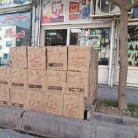 پخش عمده و جزئی تخم مرغ