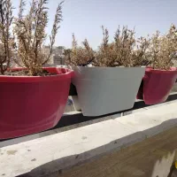 گلدان بالکنی