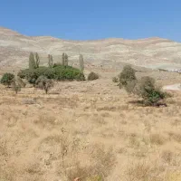 ۲۰۰ متر(فاز ۱۰ پردیس)فاز ۴/قوه قضاییه شهرک الهیه|فروش زمین و ملک کلنگی|پردیس, فاز ۴|دیوار