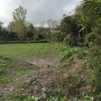 فروش زمین کشاورزی واقع در ارباستان لاهیجان|فروش دفتر صنعتی، کشاورزی، تجاری|لنگرود, |دیوار