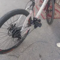 دوچرخه 26|دوچرخه، اسکیت، اسکوتر|بیرجند, |دیوار