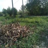 زمین کاملا مسکونی بر اسفالت|فروش زمین و ملک کلنگی|شفت, |دیوار