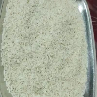 برنج طارم هاشمی