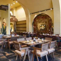 نیروی هاست حرفه ای