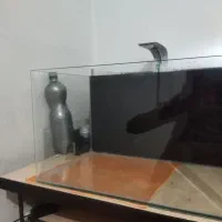 اکواریوم خم دیاموند