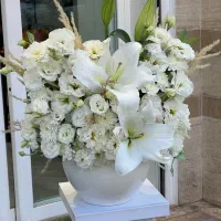گلدان گل ارکیده کد ۱۶۱۰ گلاریس
