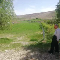 زمین کشاورزی به مساحت 2511 متر با سند تک برگی|فروش زمین و ملک کلنگی|فیروزکوه, |دیوار