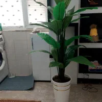 درخچه مصنوعی