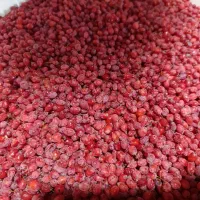زرشک تازه باکیفیت خوب پاک شده با دستگاه|خوردنی و آشامیدنی|مشهد, رباط طرق|دیوار