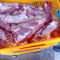 پخش گوشت گوسفندی  و  گوساله