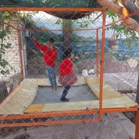 ترامپولینگ