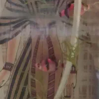 ماهی|ماهی|ساوه, |دیوار