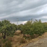 باغ زمین کشاورزی 500متری پل زمانخان سند دار|فروش دفتر صنعتی، کشاورزی، تجاری|اصفهان, آزادگان|دیوار