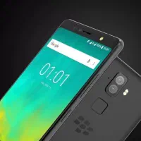 black berry evolo