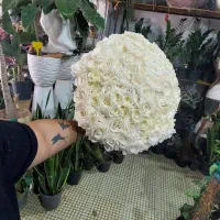 گل آرایی،در سینی مس|گل و گیاه طبیعی|کرمان, |دیوار