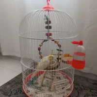 قفس گرد پرنده