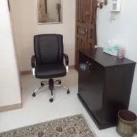 صندلی چرخدار( نیلپر )|صندلی و نیمکت|کرج, گوهردشت|دیوار