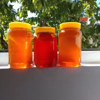 عسل کوهستان|خوردنی و آشامیدنی|کلیبر, |دیوار