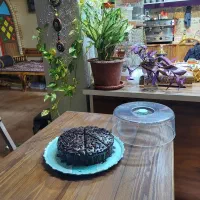 رهن و اجاره کافه وقهوه خانه باامکانات کامل وخاص|اجارهٔ مغازه و غرفه|بندر کنگان, |دیوار